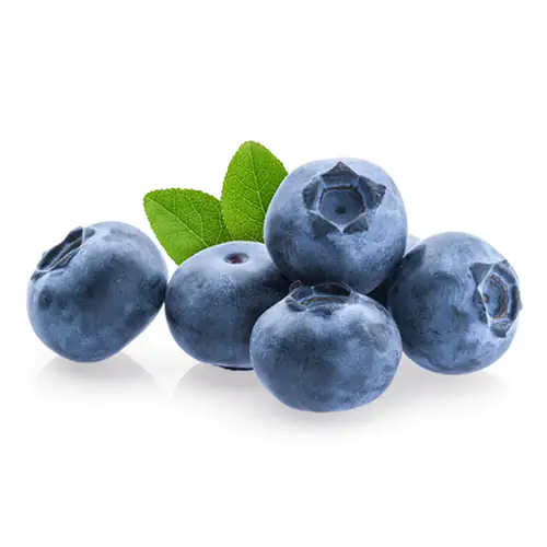 Blueberry 125g Morocco